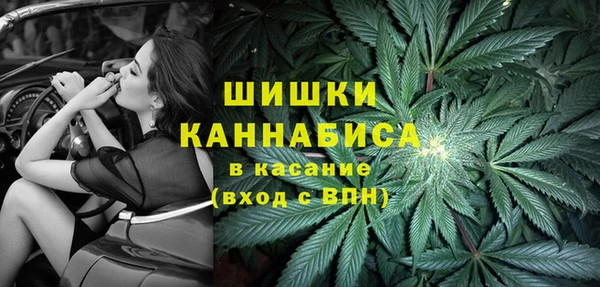мдпв Нязепетровск