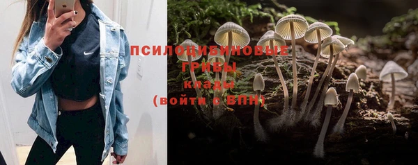 винт Нягань